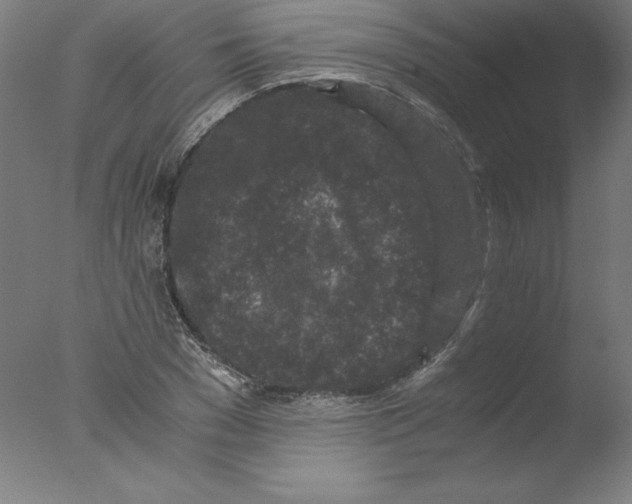 X0000076070977200610202010