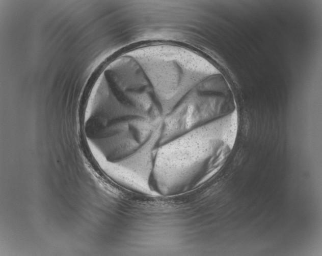 X0000076070980200610202010