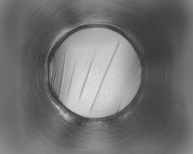 X0000076070982200610202009