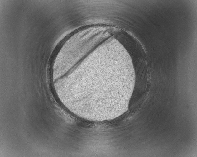 X0000076070983200610202009