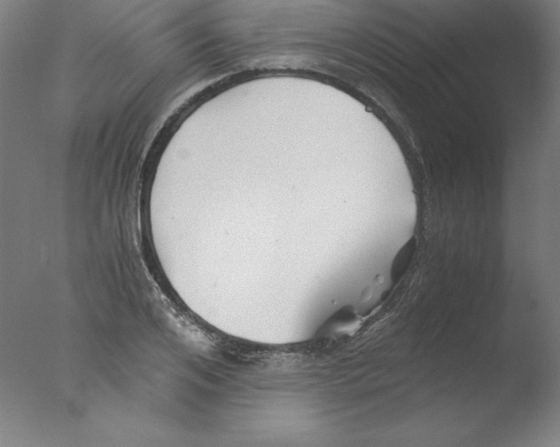 X0000076070984200610202009