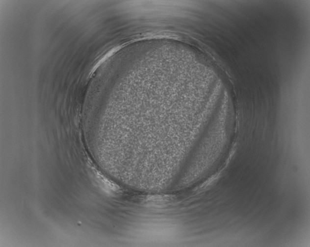 X0000076070985200610202009