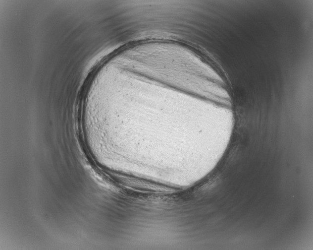 X0000076070987200610202009