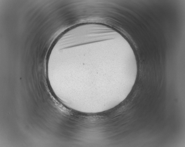 X0000076070988200610202009