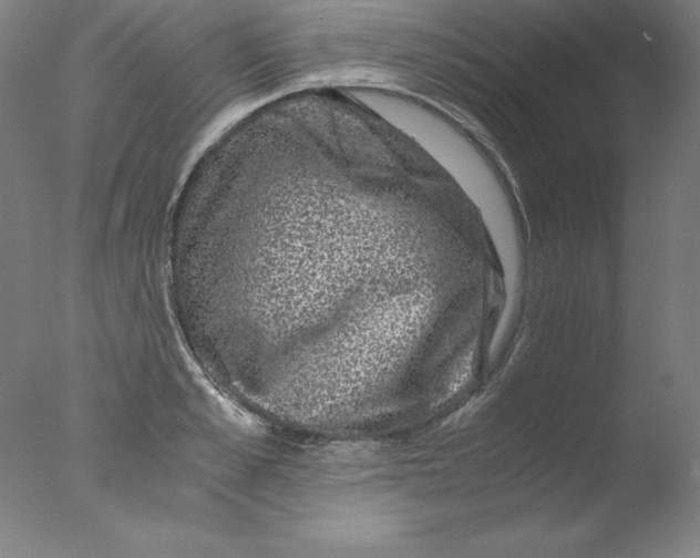 X0000076070989200610202009