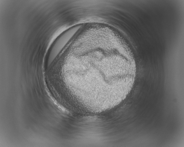 X0000076070990200610202009