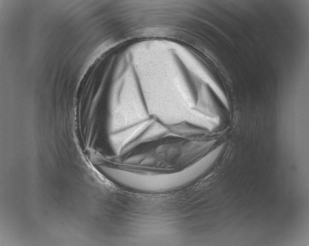 X0000076070992200610202009