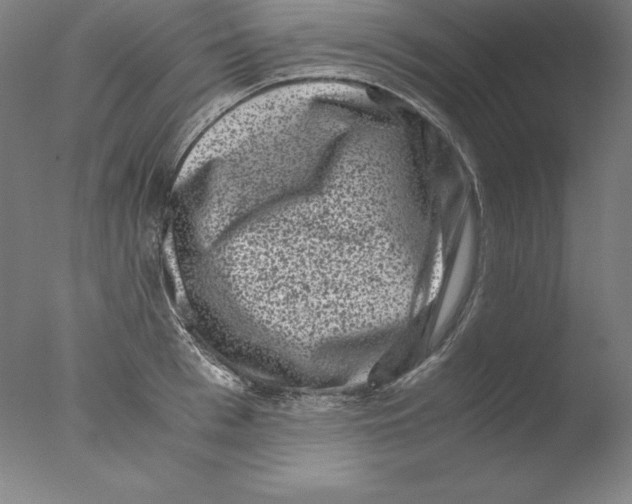 X0000076070993200610202009