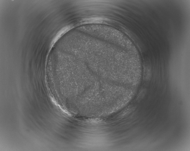 X0000076070994200610202009