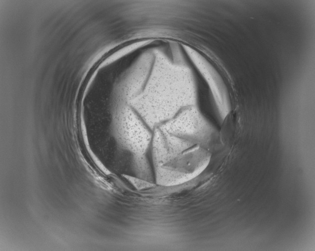 X0000076070996200610202009