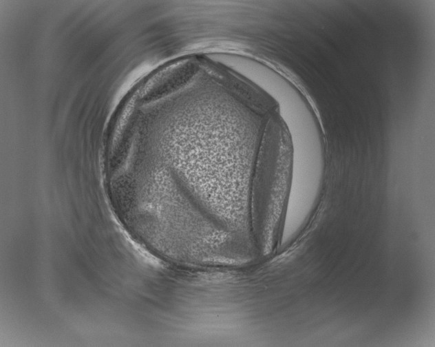 X0000076070997200610202009