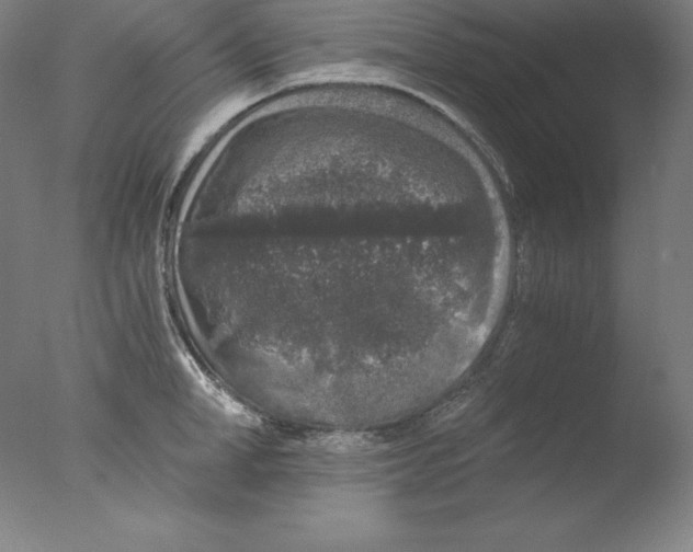 X0000076070998200610202009