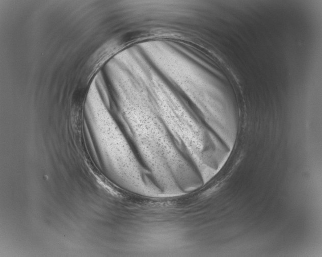 X0000076071001200610202009