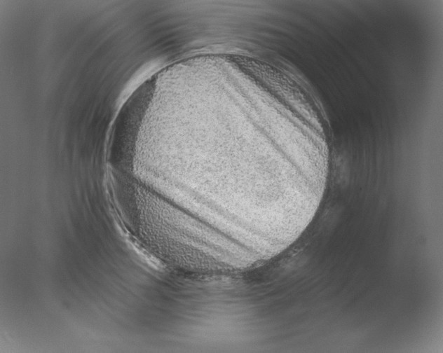 X0000076071002200610202009