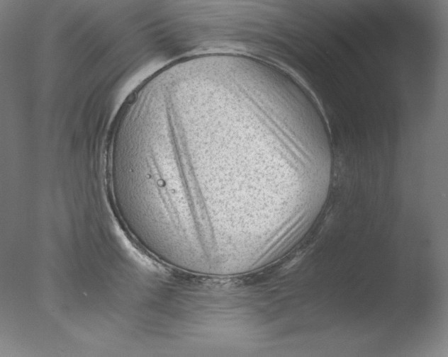 X0000076071003200610202009