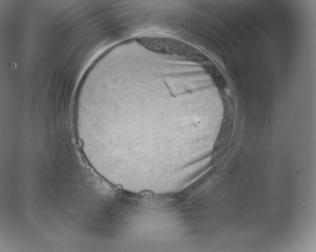 X0000076071008200610202009