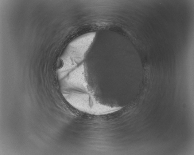 X0000076071009200610202008