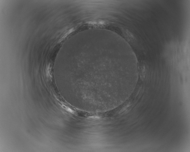 X0000076071010200610202008