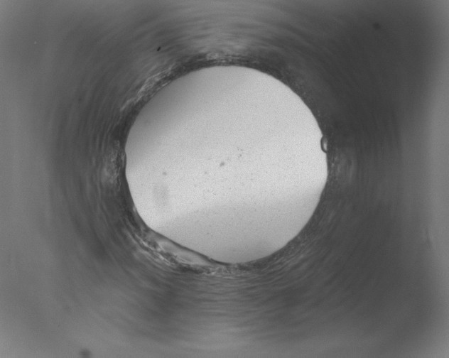 X0000076071012200610202008