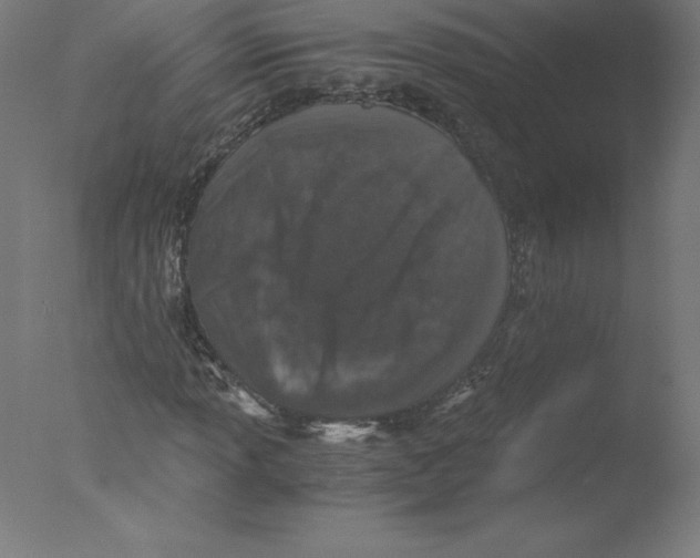 X0000076071013200610202008