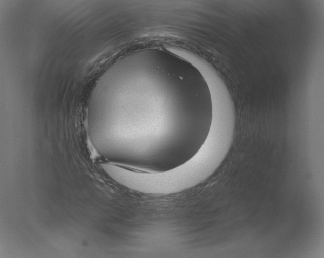 X0000076071014200610202008