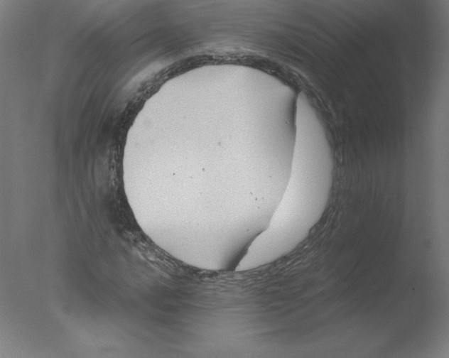 X0000076071016200610202008