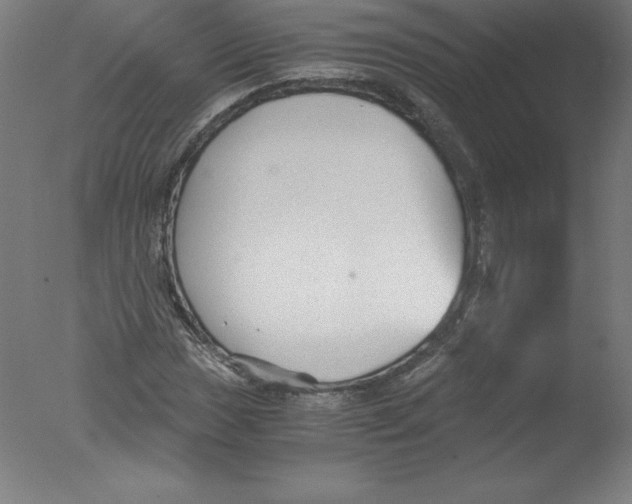 X0000076071017200610202008