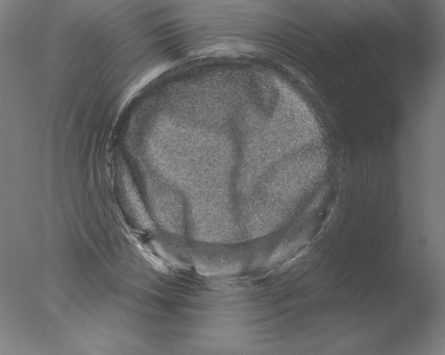 X0000076071018200610202008