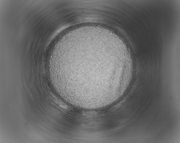 X0000076071019200610202008