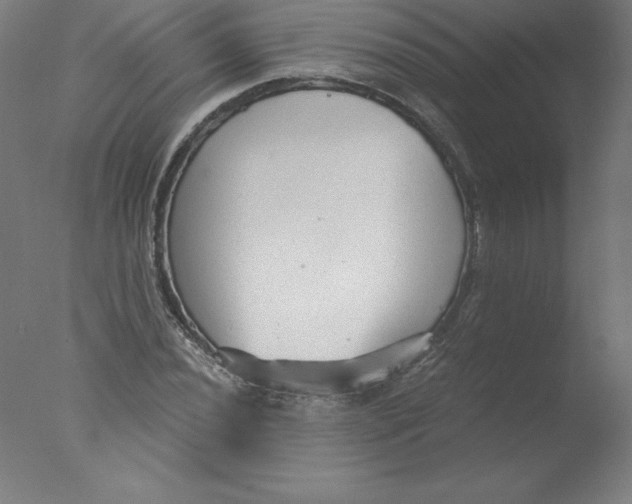 X0000076071020200610202008