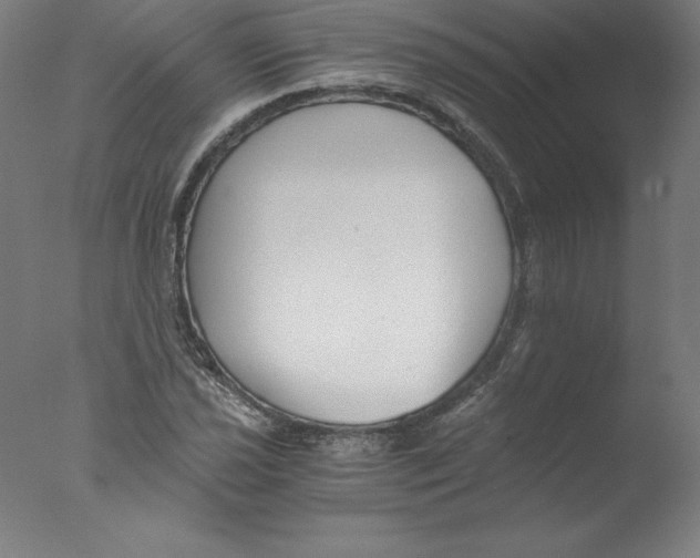 X0000076071021200610202008