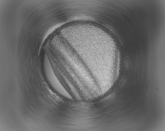 X0000076071022200610202008