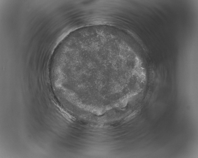 X0000076071023200610202008