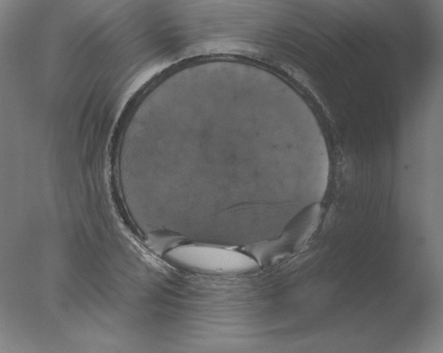 X0000076071024200610202008