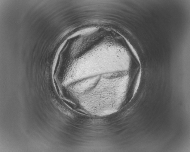 X0000076071025200610202008