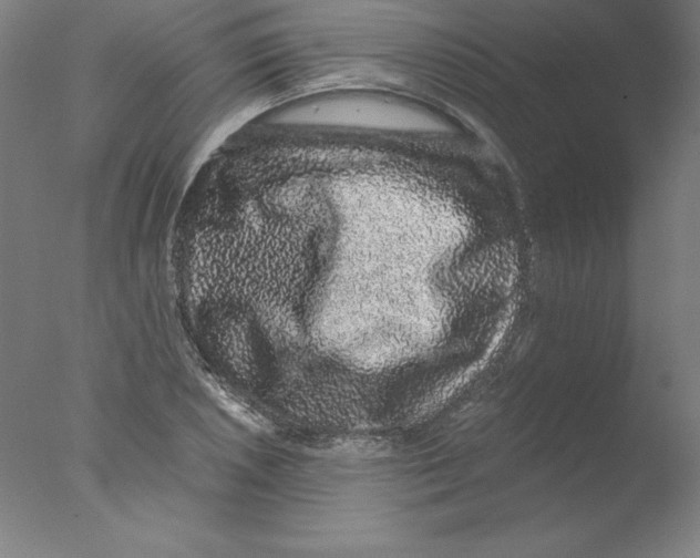 X0000076071026200610202009