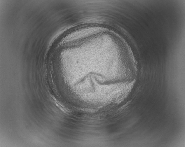 X0000076071027200610202009