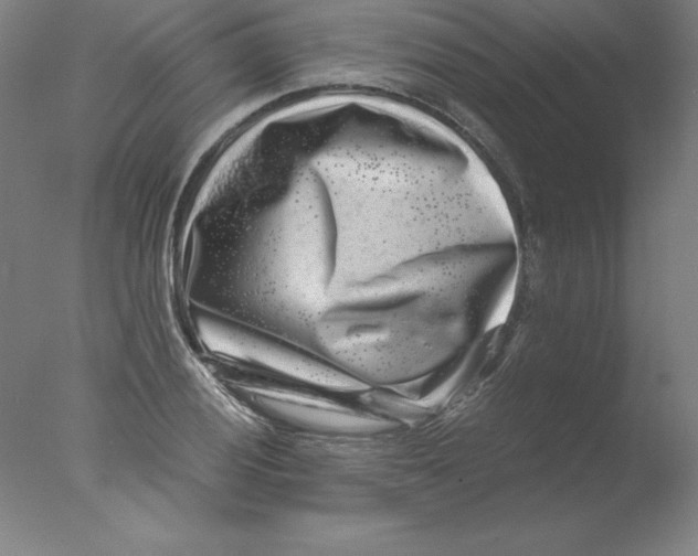 X0000076071028200610202009