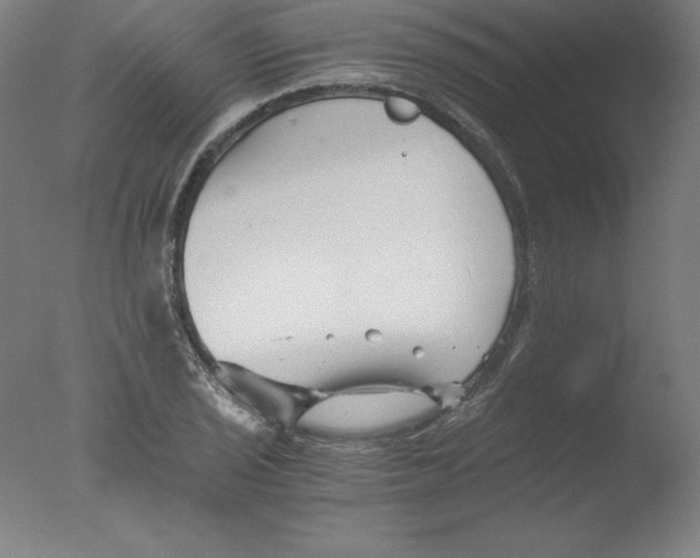 X0000076071029200610202009