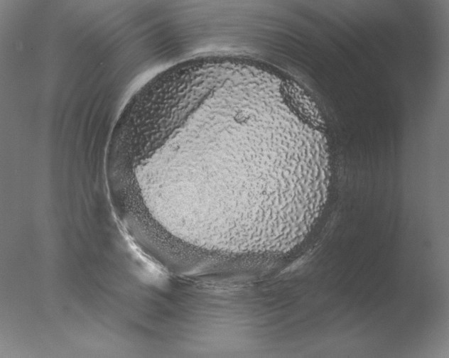 X0000076071030200610202009