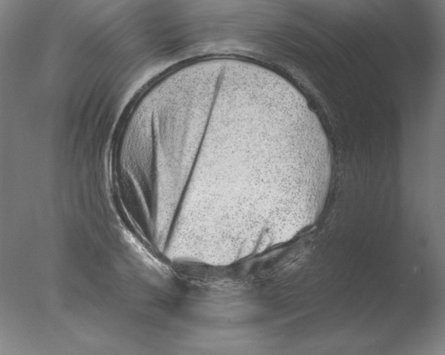 X0000076071032200610202009