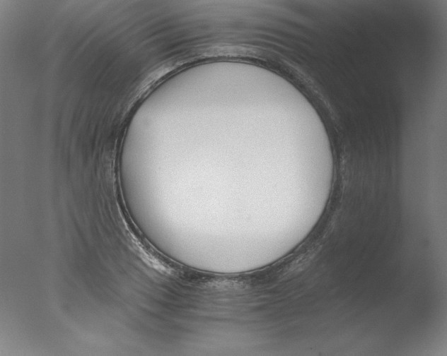 X0000076071033200610202009