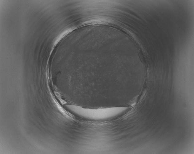 X0000076071034200610202009