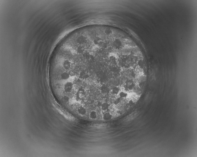 X0000076071035200610202009