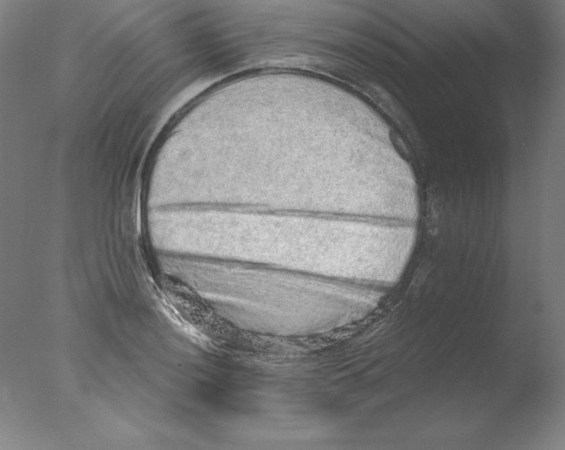 X0000076071036200610202009