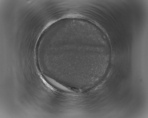 X0000076071037200610202009