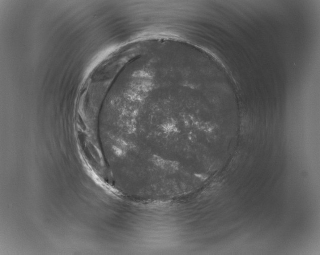 X0000076071038200610202009