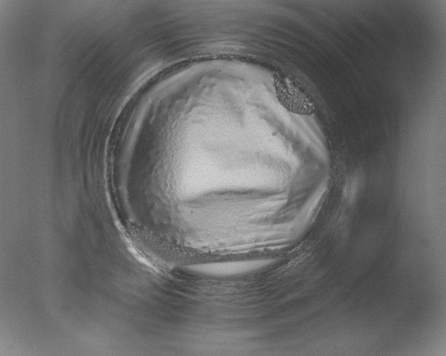 X0000076071039200610202009