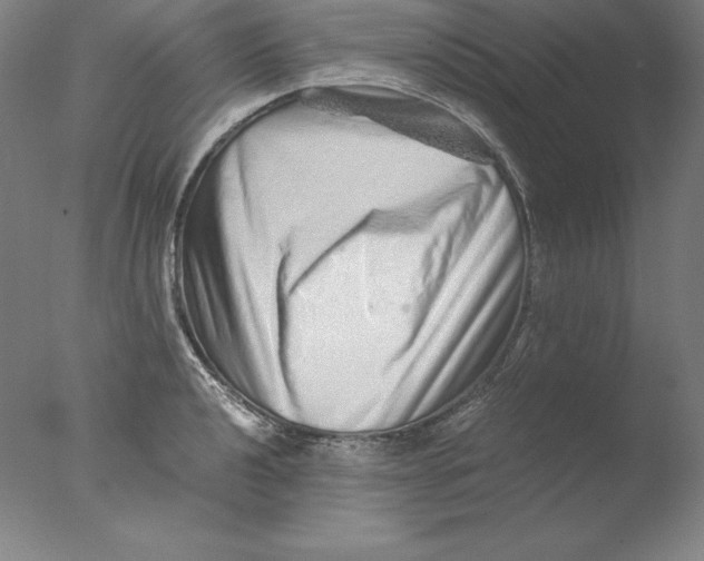 X0000076071040200610202009