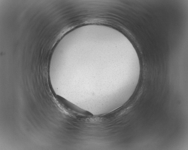 X0000076071041200610202009